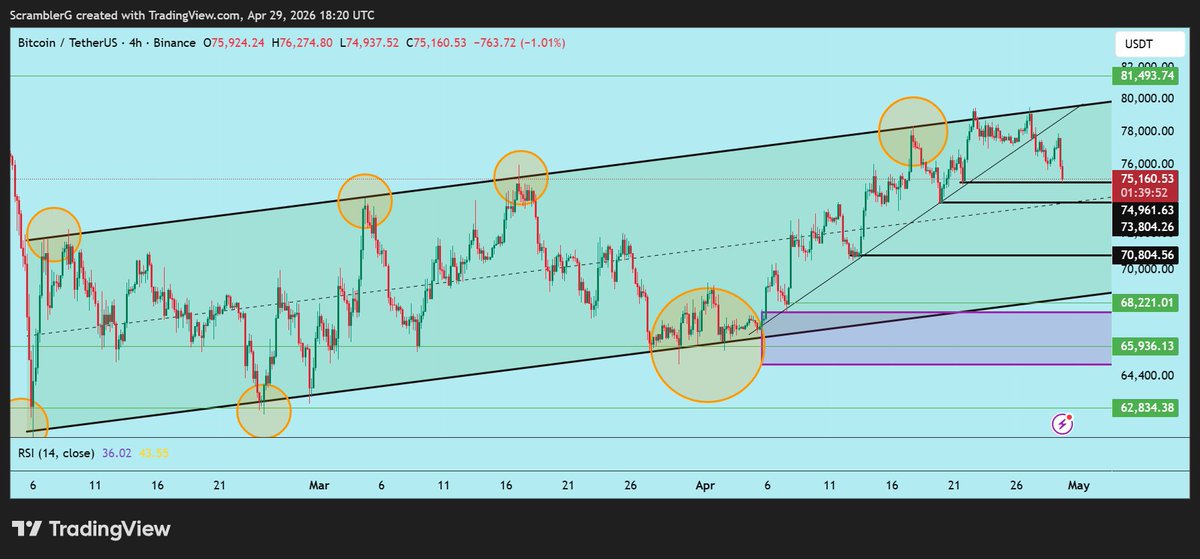Scrambler G tweet media