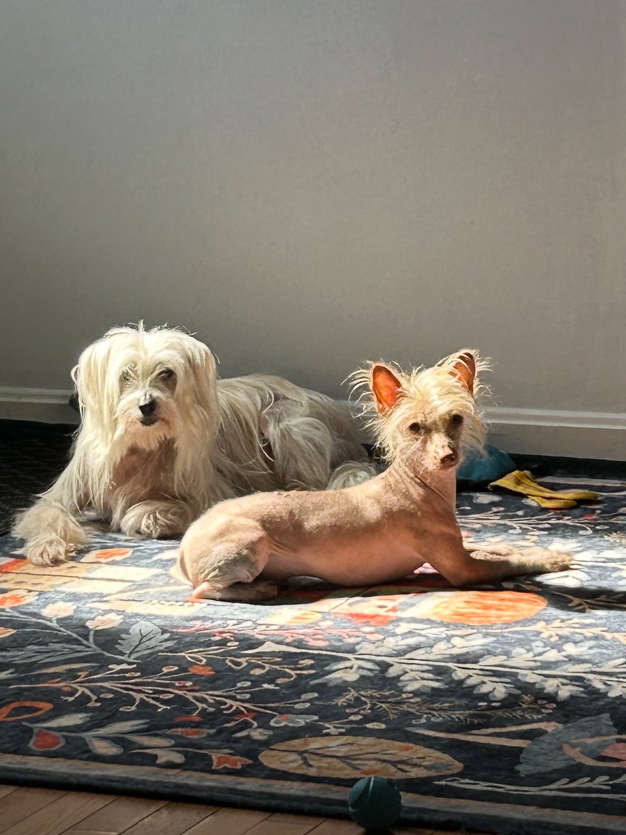 owenfrank-Pablo&Banksy 🇨🇦 tweet media