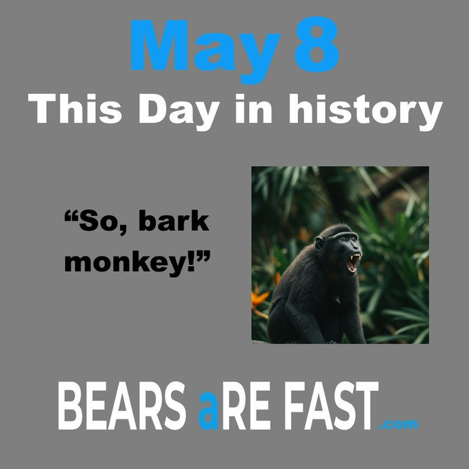 bearsarefast's tweet photo. https://t.co/6G0vdqtA4B