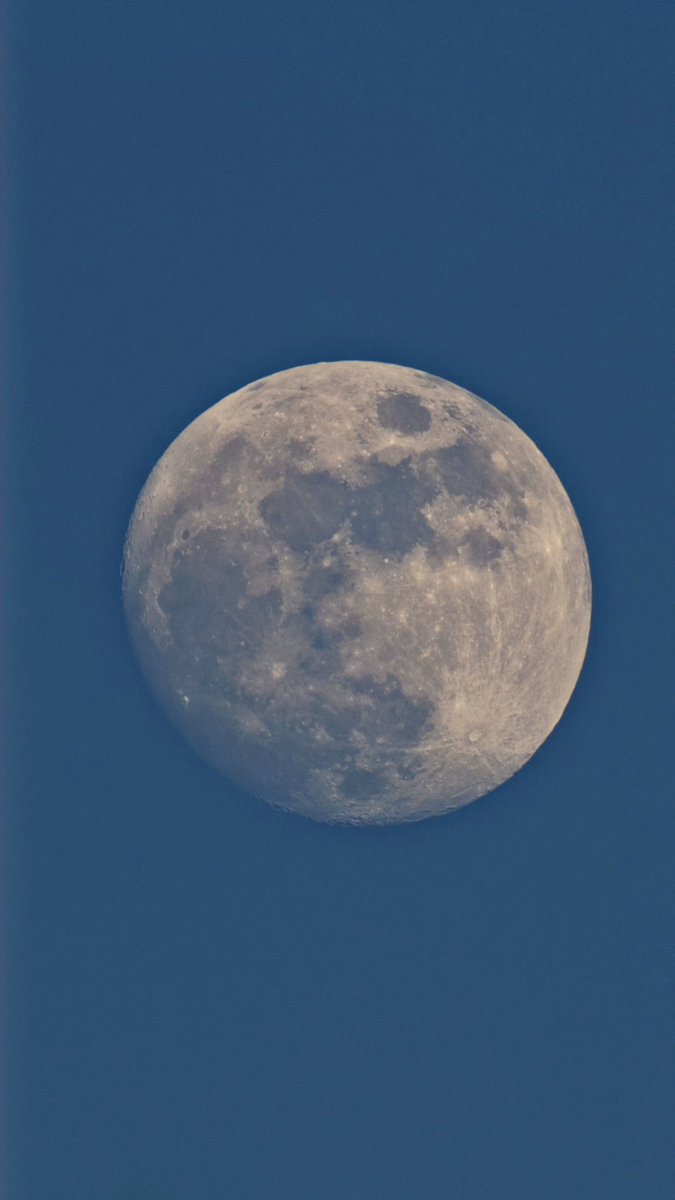 Rad van Mad tweet media