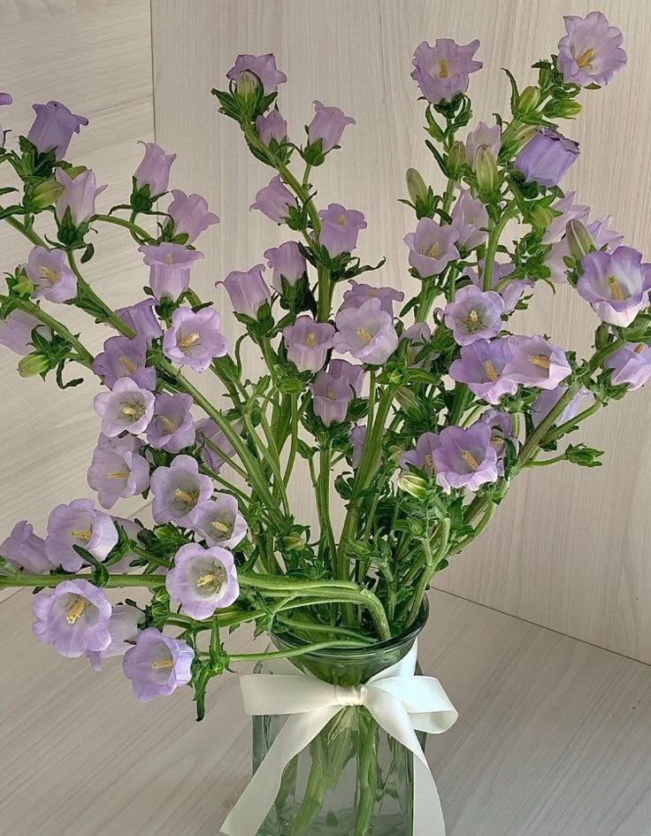 Flowers Life tweet media