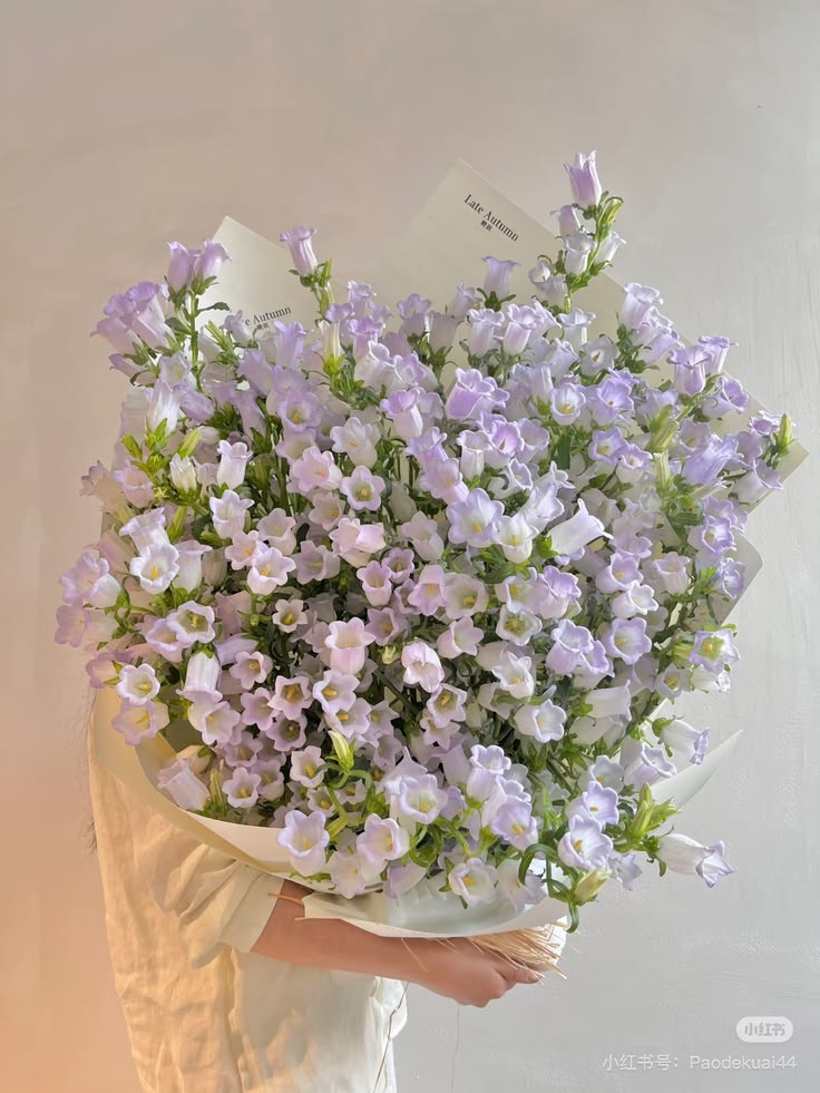 Flowers Life tweet media