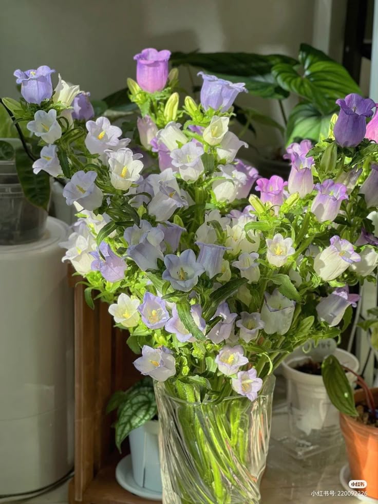Flowers Life tweet media