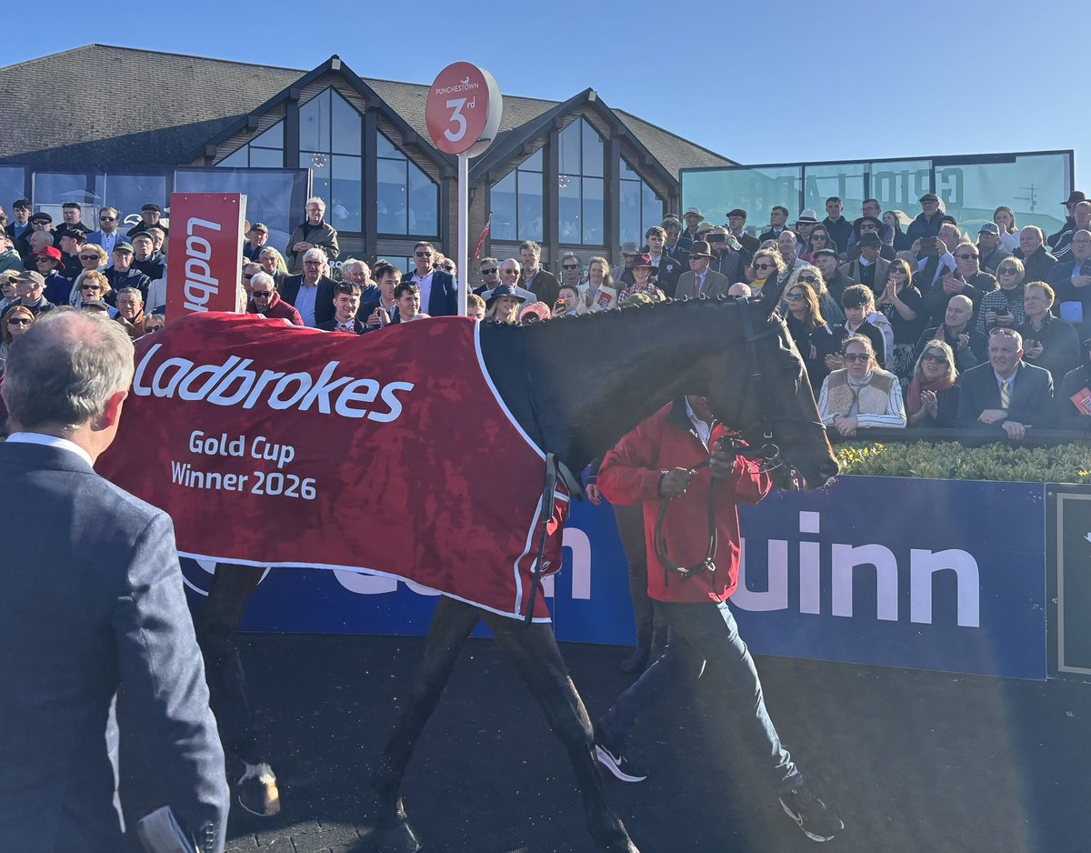 HonestFrank's tweet photo. ⭐ GAELIC WARRIOR ⭐ 

Scenes @punchestownrace #PT26 https://t.co/lIBbnWPIkb