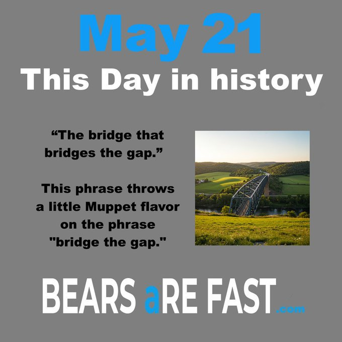 bearsarefast's tweet photo. https://t.co/vcQCdCEDAj