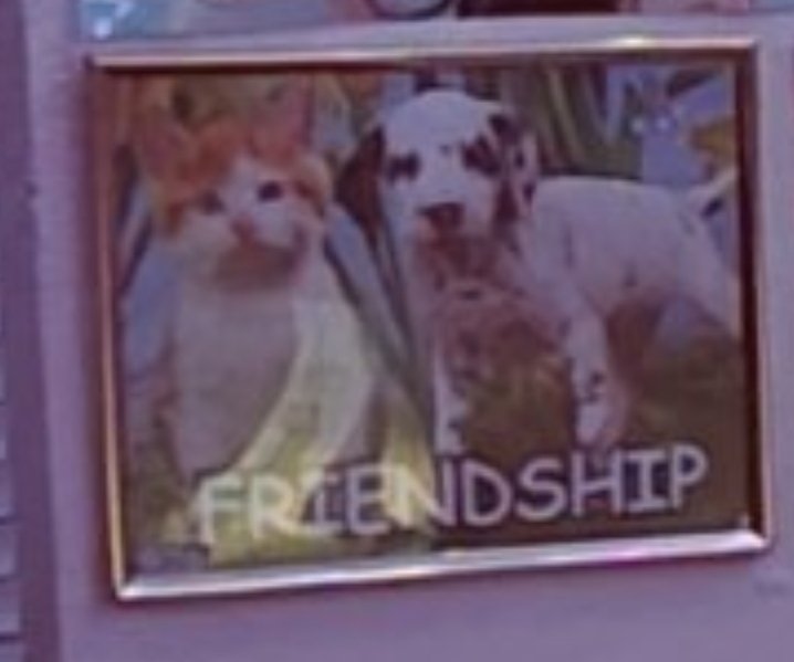 pola 🩷 tweet media