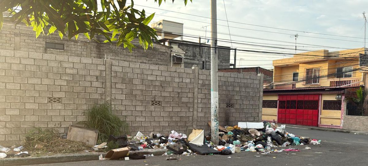 vihulete's tweet photo. @DuranLimpio @AlcaldiaDuran exigimos recoger basura y sancionar a los infractores que botan basura en forma indiscriminada.
Abel Gilbert Ponton No. 1 manzana 20 calle. Azuay.
Moradores vivimos infestados de ratas, ratones y rateros @PoliciaEcuador https://t.co/VSFIRPViOn