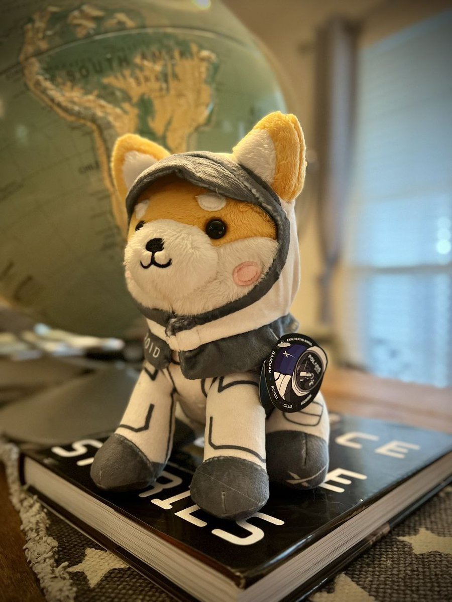 deecayz ⌐◨-◨ tweet media