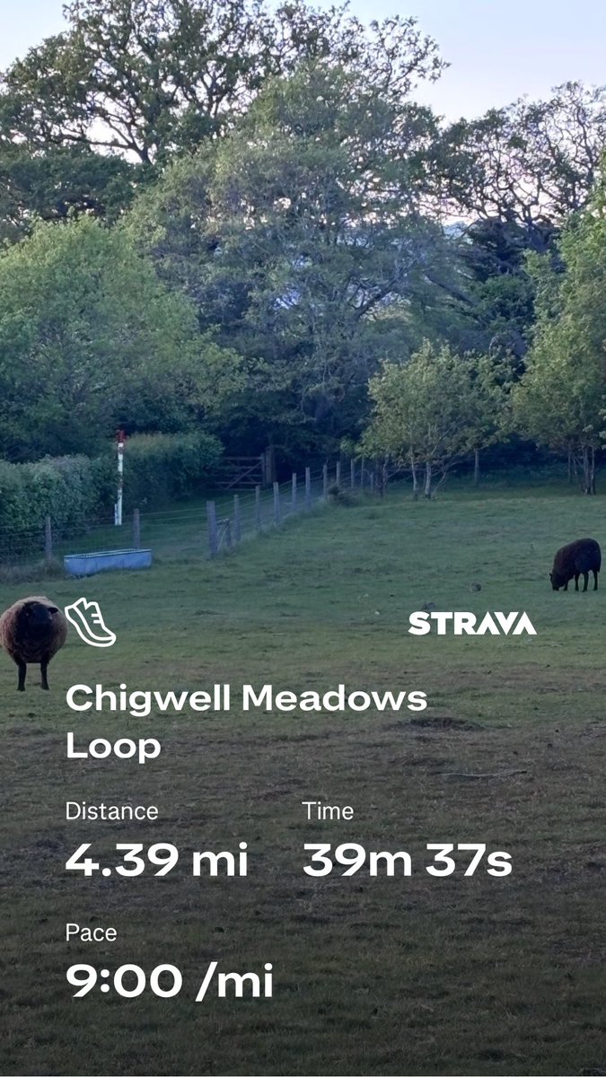 Ben Halen (He/His) tweet media