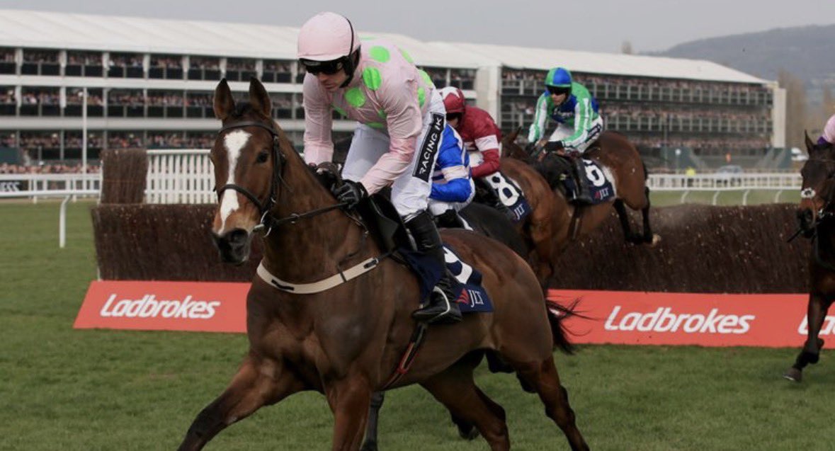 Owen🐎 tweet media
