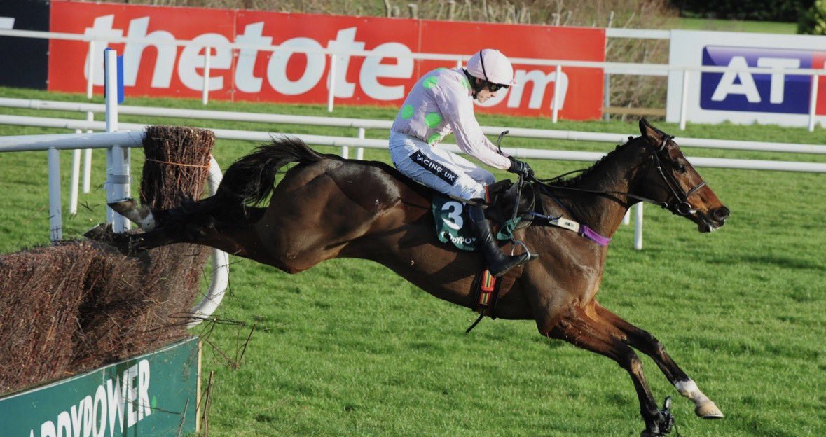 Owen🐎 tweet media