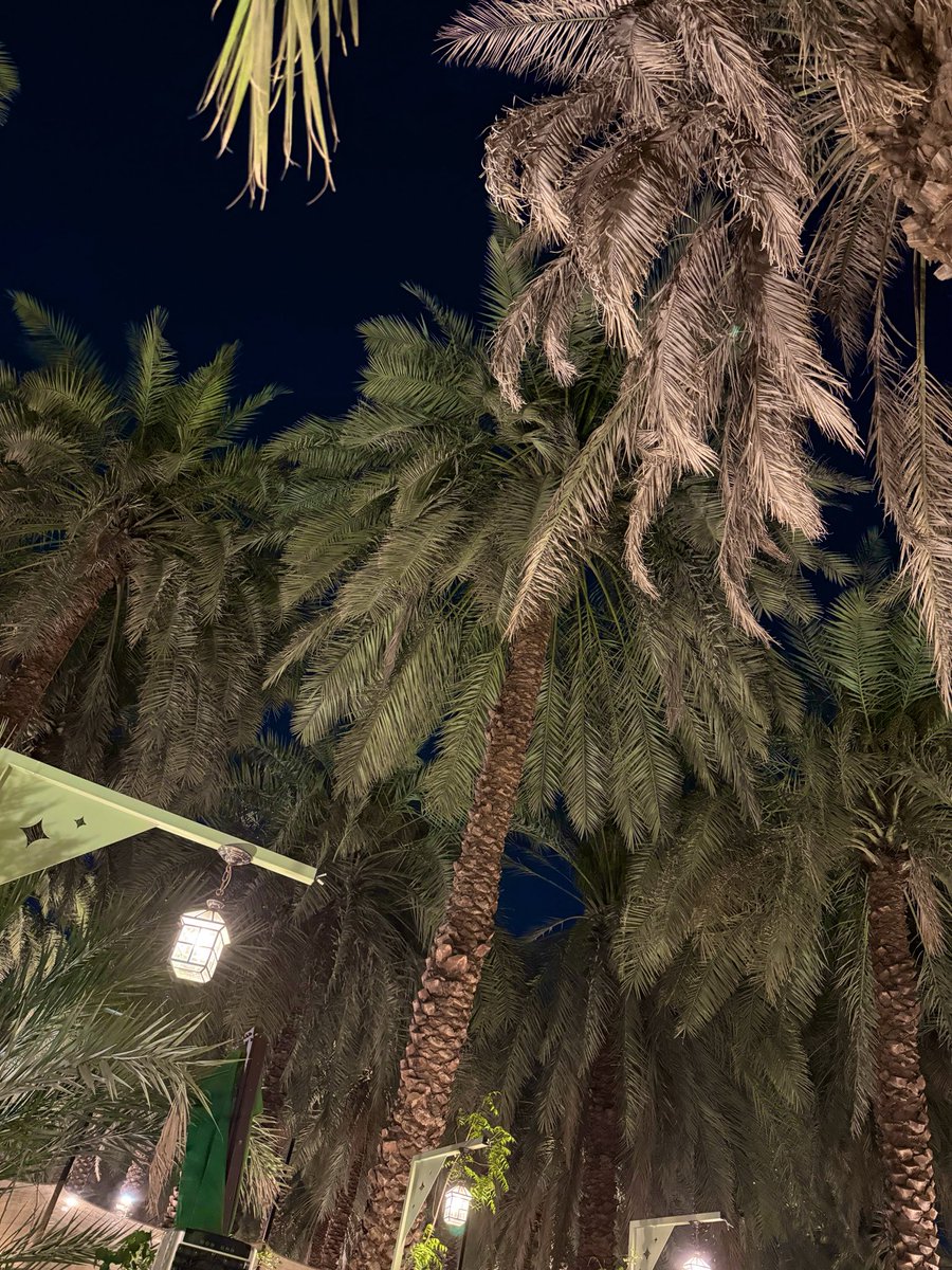 🐈‍⬛ tweet media