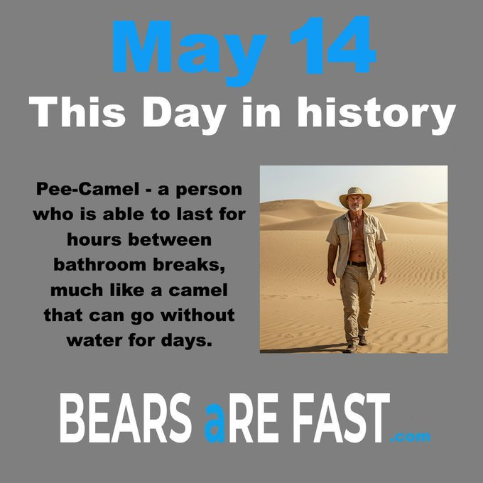 bearsarefast's tweet photo. https://t.co/4r58JOwq1F