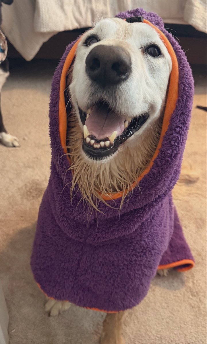 Rachel H. tweet media