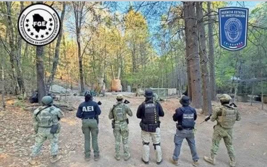 Luis Cardona tweet media