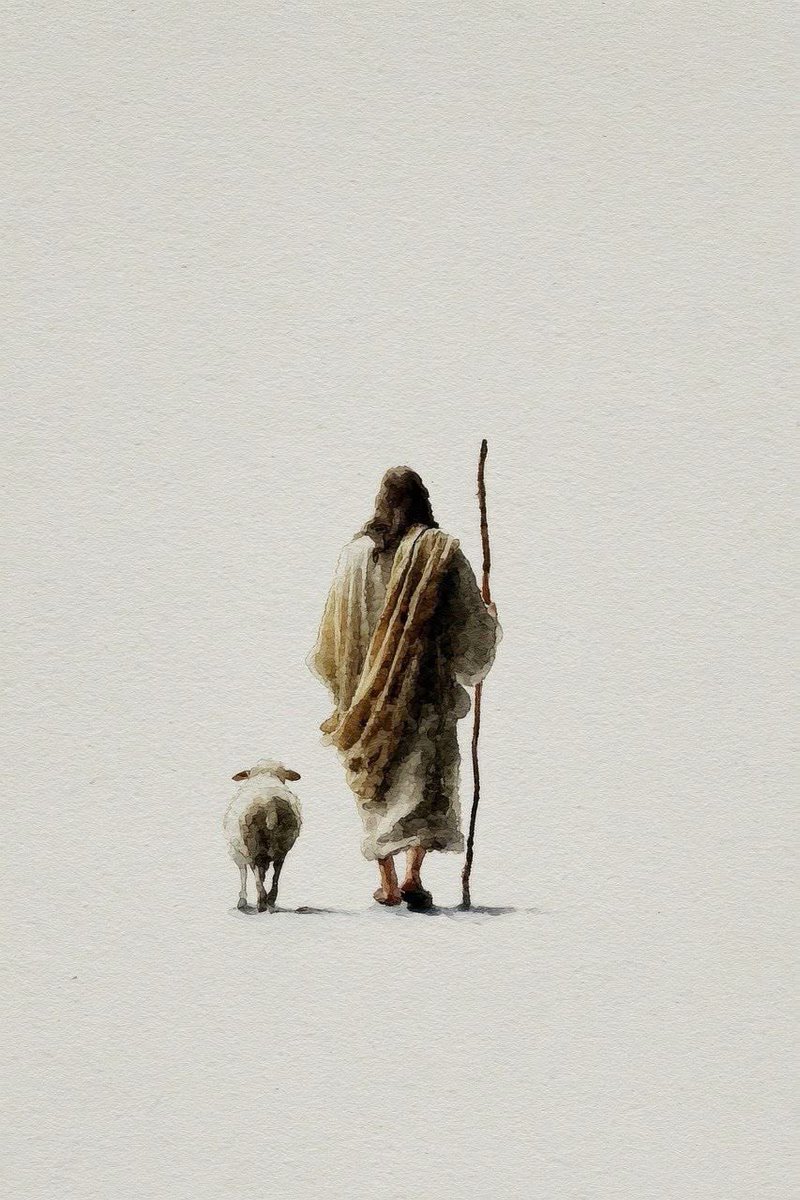 Aesthetic.Guyy tweet media