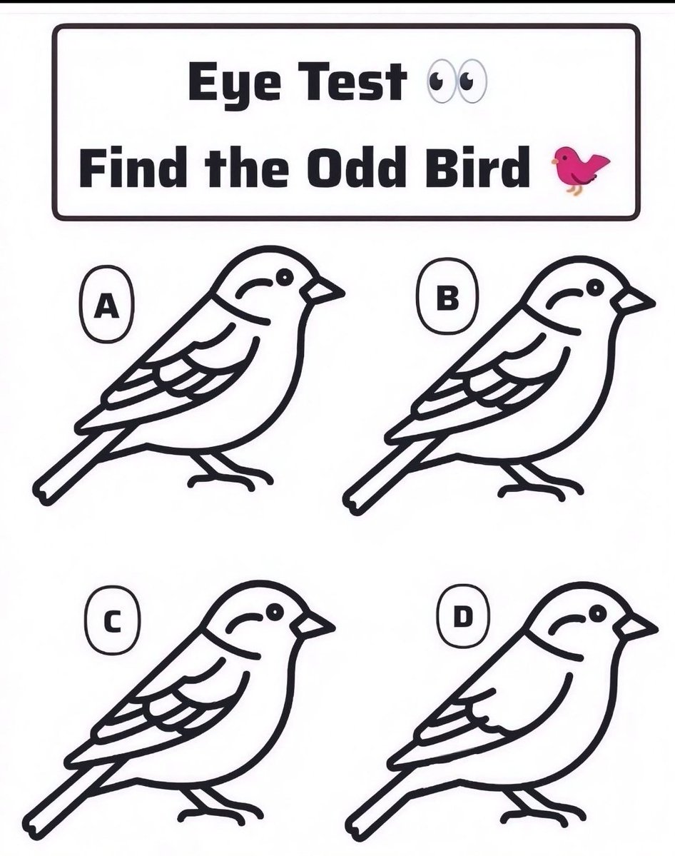 Jewel 🌗 tweet media