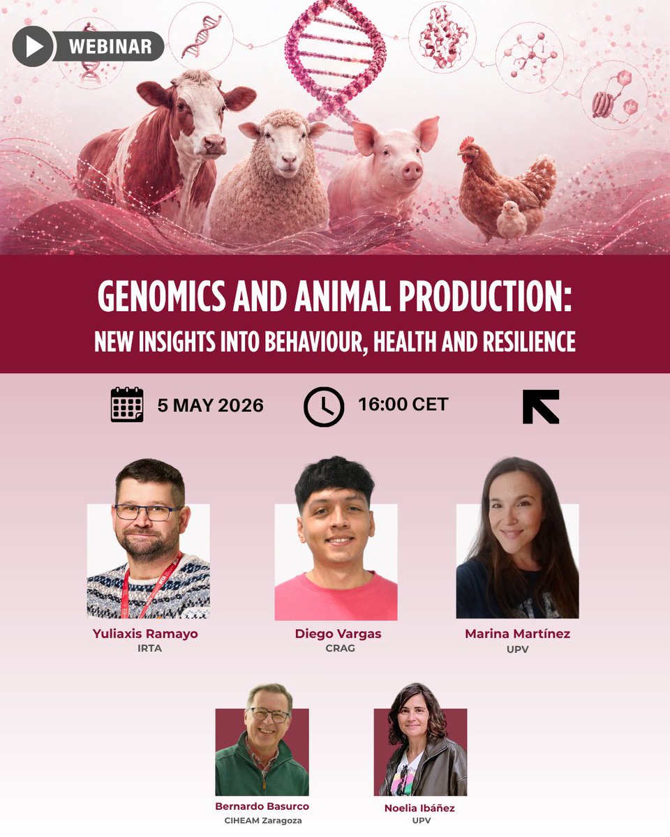 CIHEAMZaragoza's tweet image. 🧬𝗚𝗲𝗻𝗼𝗺𝗶𝗰𝘀 𝗮𝗻𝗱 𝗔𝗻𝗶𝗺𝗮𝗹 𝗣𝗿𝗼𝗱𝘂𝗰𝘁𝗶𝗼𝗻
Join us for an engaging #webinar to explore recent advances in this field.

🗓️5 May 2026 ⏰16:00 CET

➕Info: iamz.ciheam.org/agendas/genomi…

#Genomics #MultiOmics #AnimalProduction #SustainableLivestock