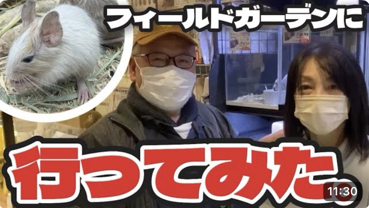 フィールドガーデン tweet media