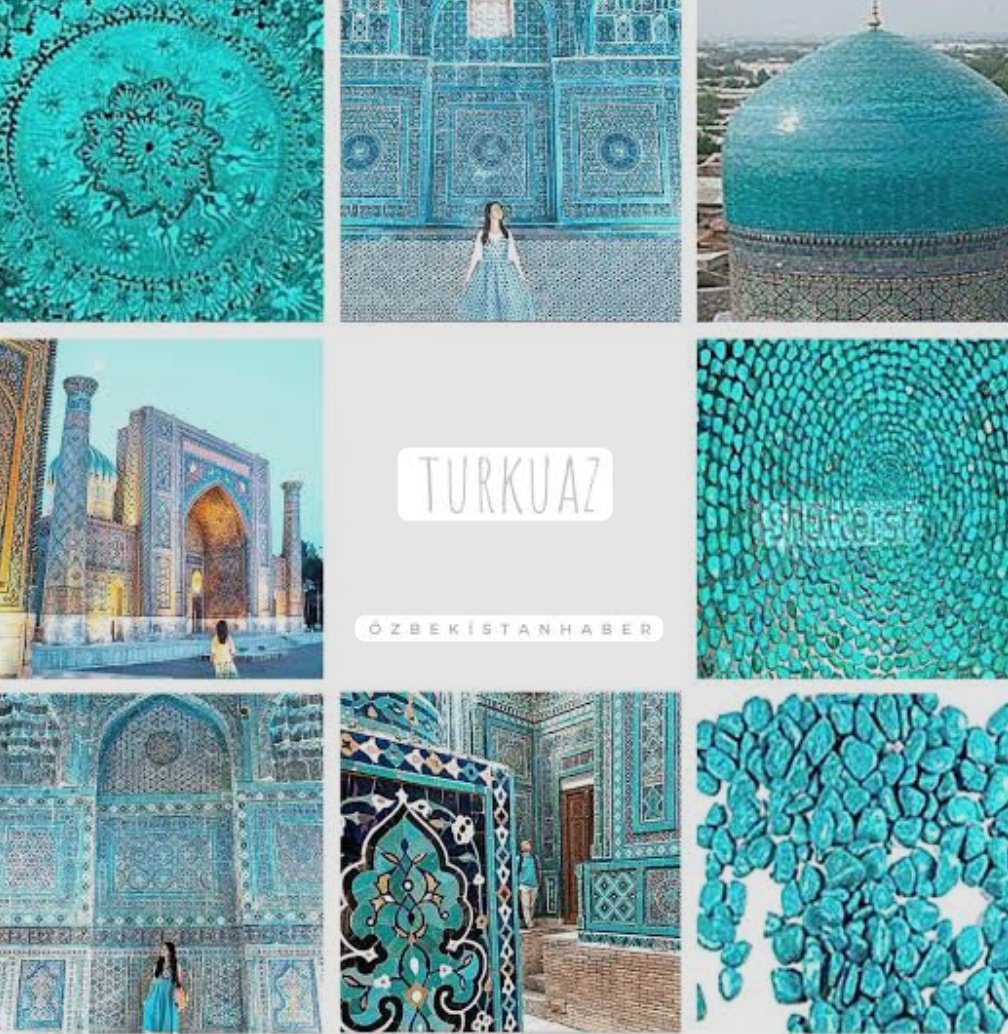 Gül Hatun 🇹🇷 tweet media