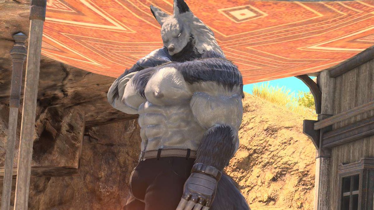 Sky Wolf tweet media