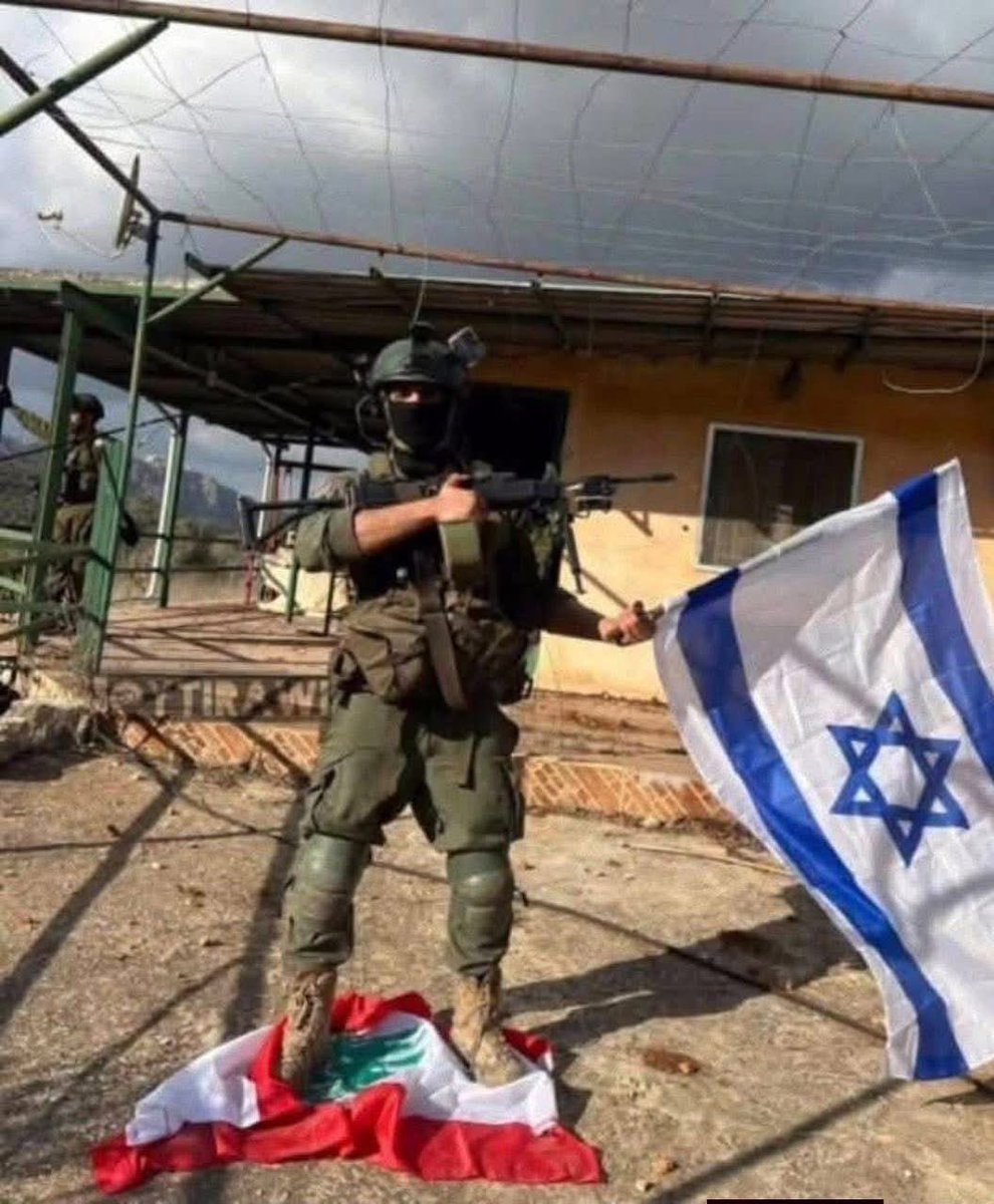 ريم زيتوني tweet media