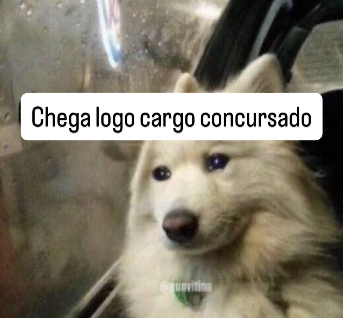 Todo dia uma dica de concurso aqui tweet media