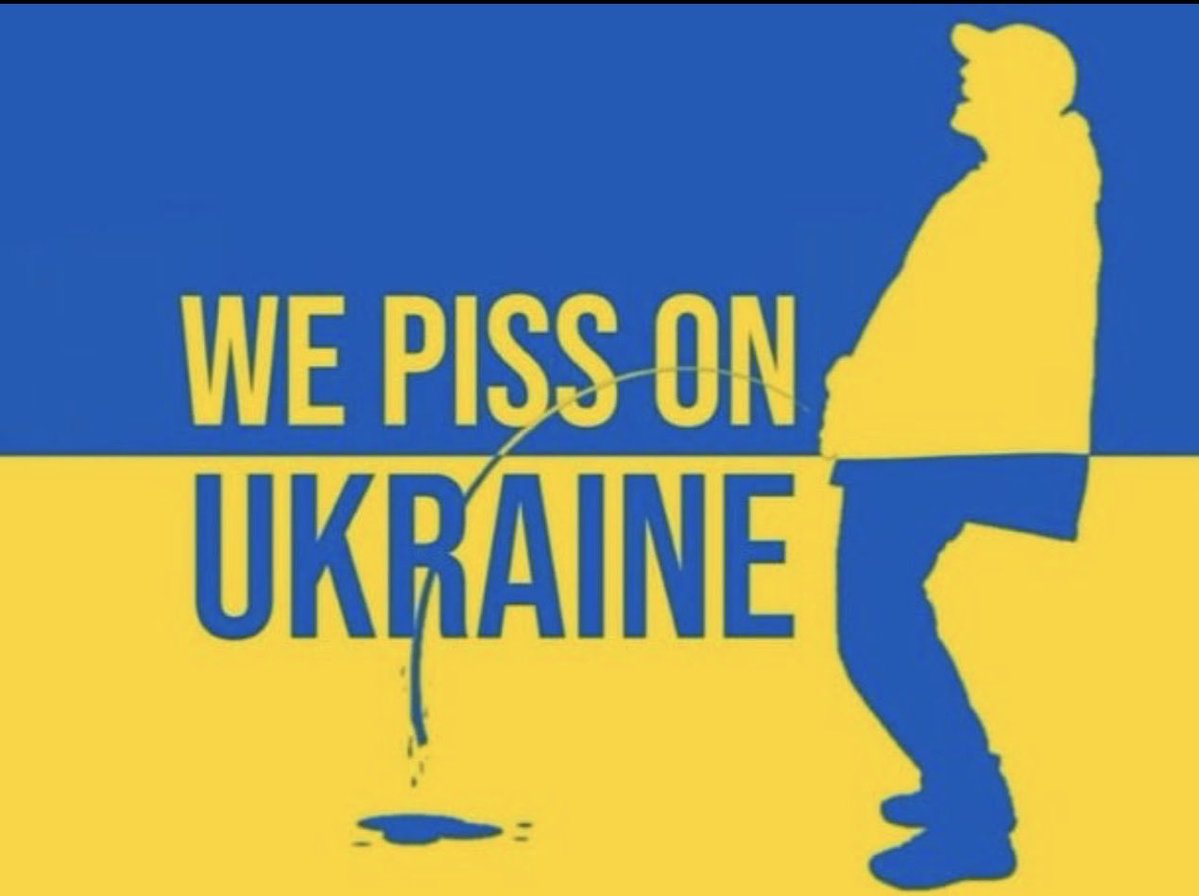 David Freeman tweet media