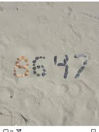 Lovable Liberal and his Old English sheepdog tweet media