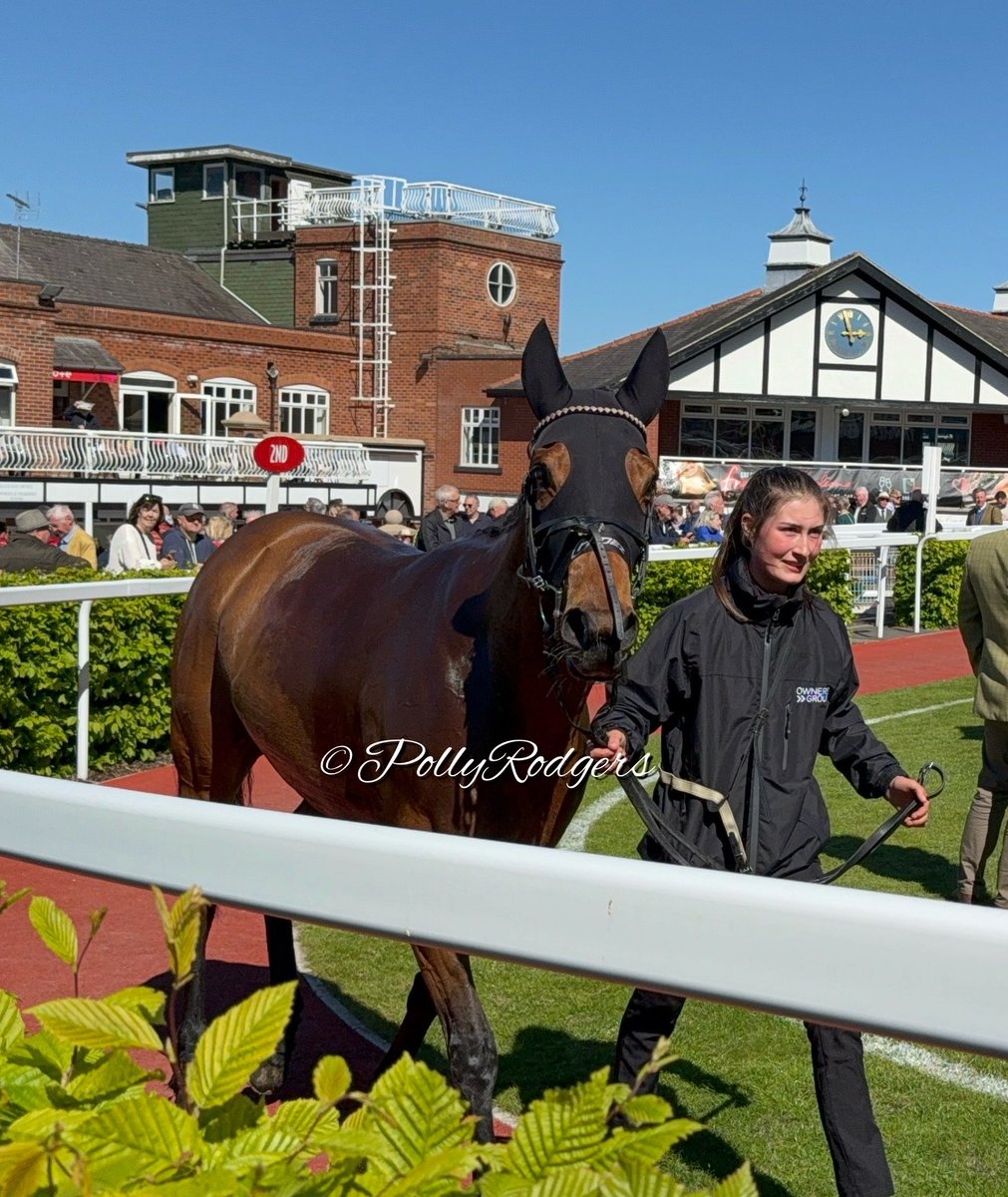 PollyRodgers's tweet photo. WINNER; ALPINE GIRL @JCamachoRacing @ownersgroupuk https://t.co/9cuQTTSGjc
