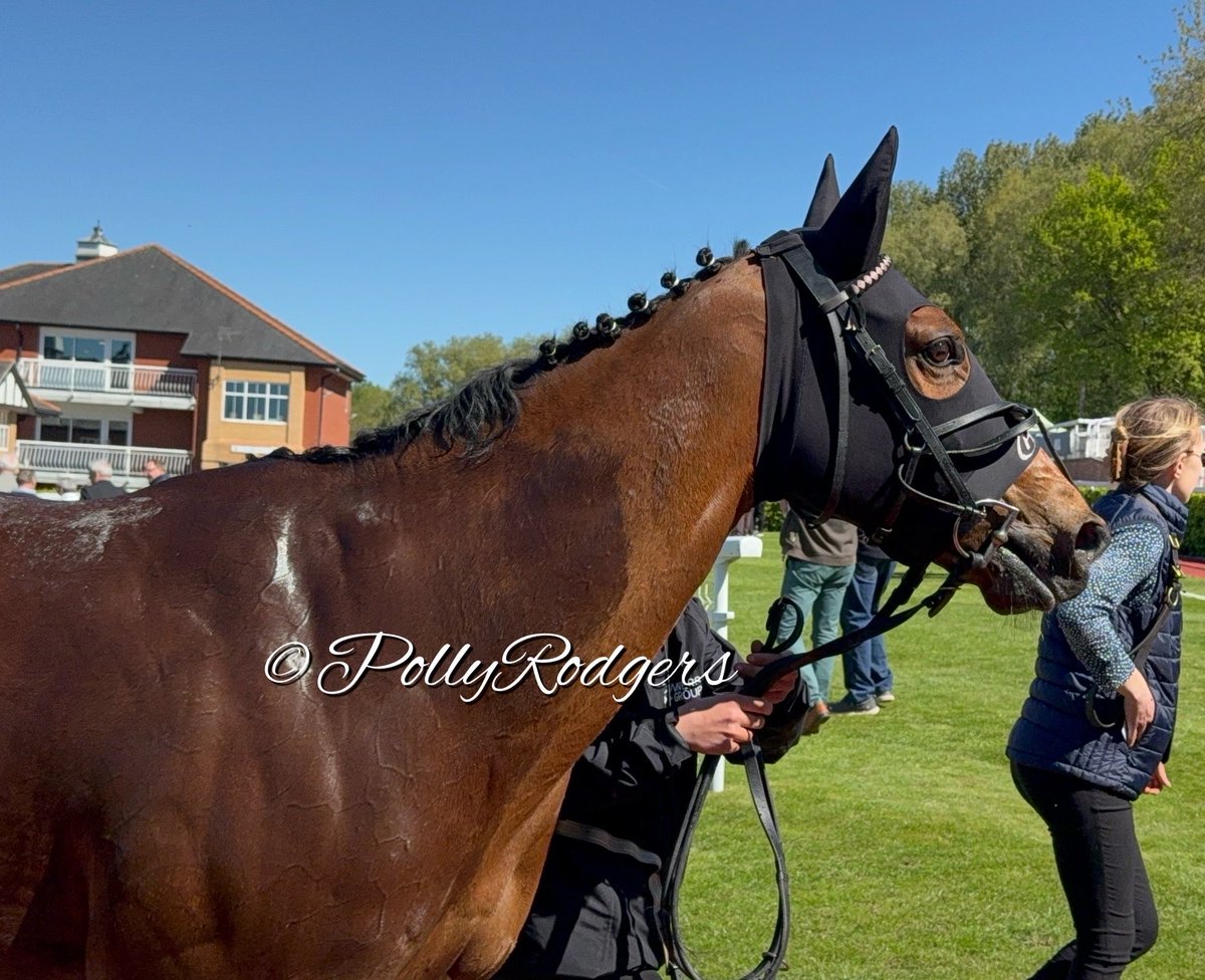 PollyRodgers's tweet photo. WINNER; ALPINE GIRL @JCamachoRacing @ownersgroupuk https://t.co/9cuQTTSGjc