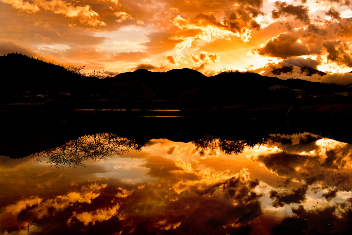 今のシーズン、夕暮れ時の水田の水鏡は筆舌に尽くしがたい美しさ。