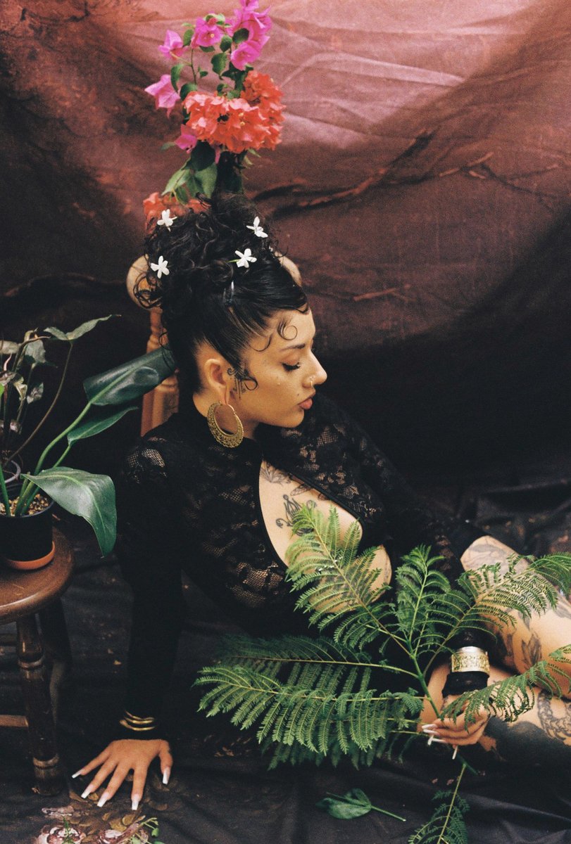 Maria La Sangre 📷 Europe tweet media