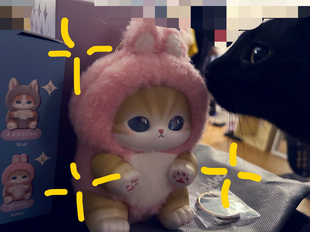 kurrimomo🌼🐰♏ tweet media