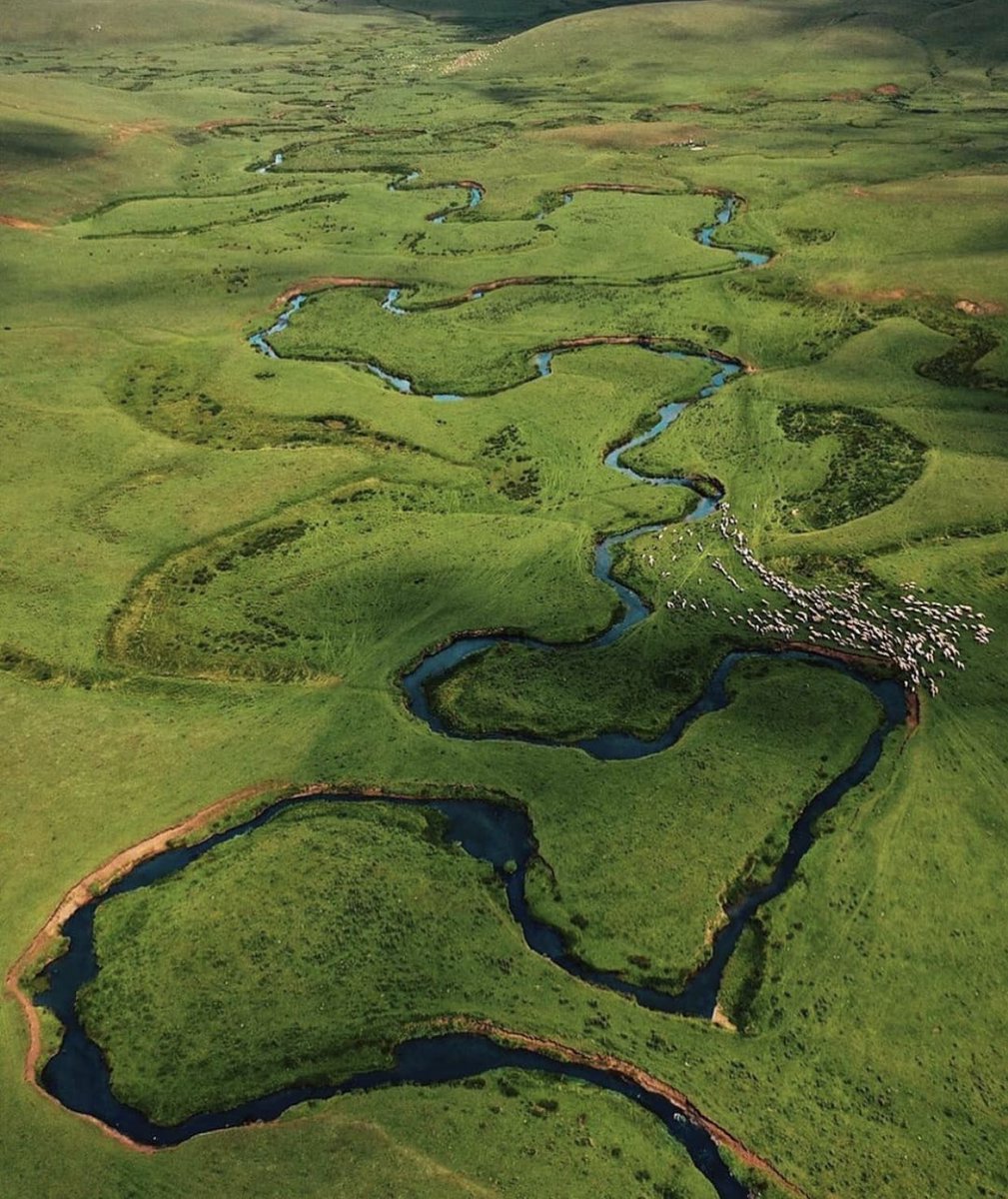 İstiklal Kadınları Hareketi tweet media
