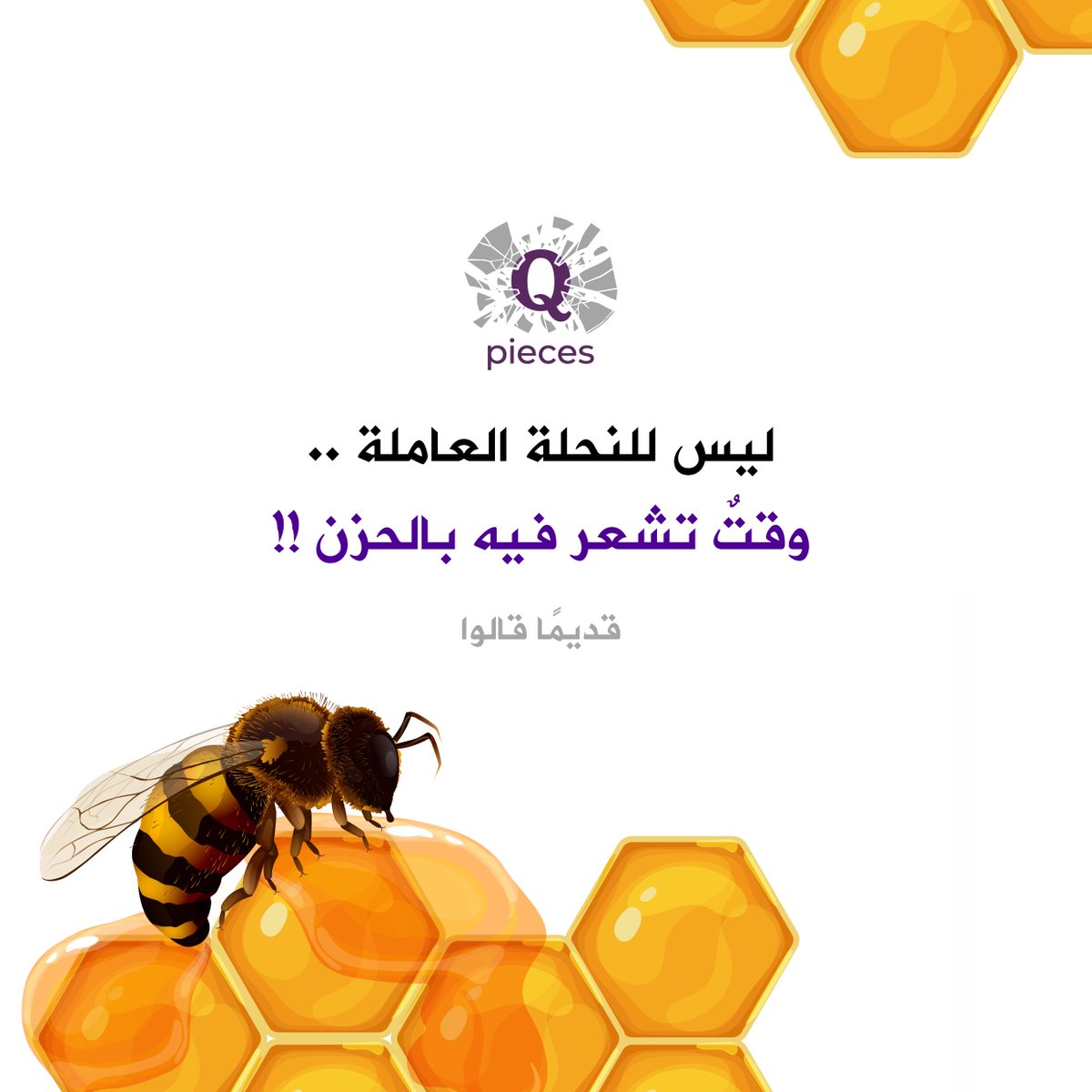 محمد سعد القويري tweet media