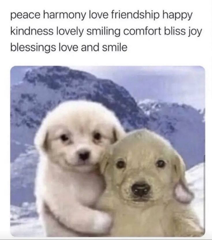 flannia 🍮🍀 tweet media