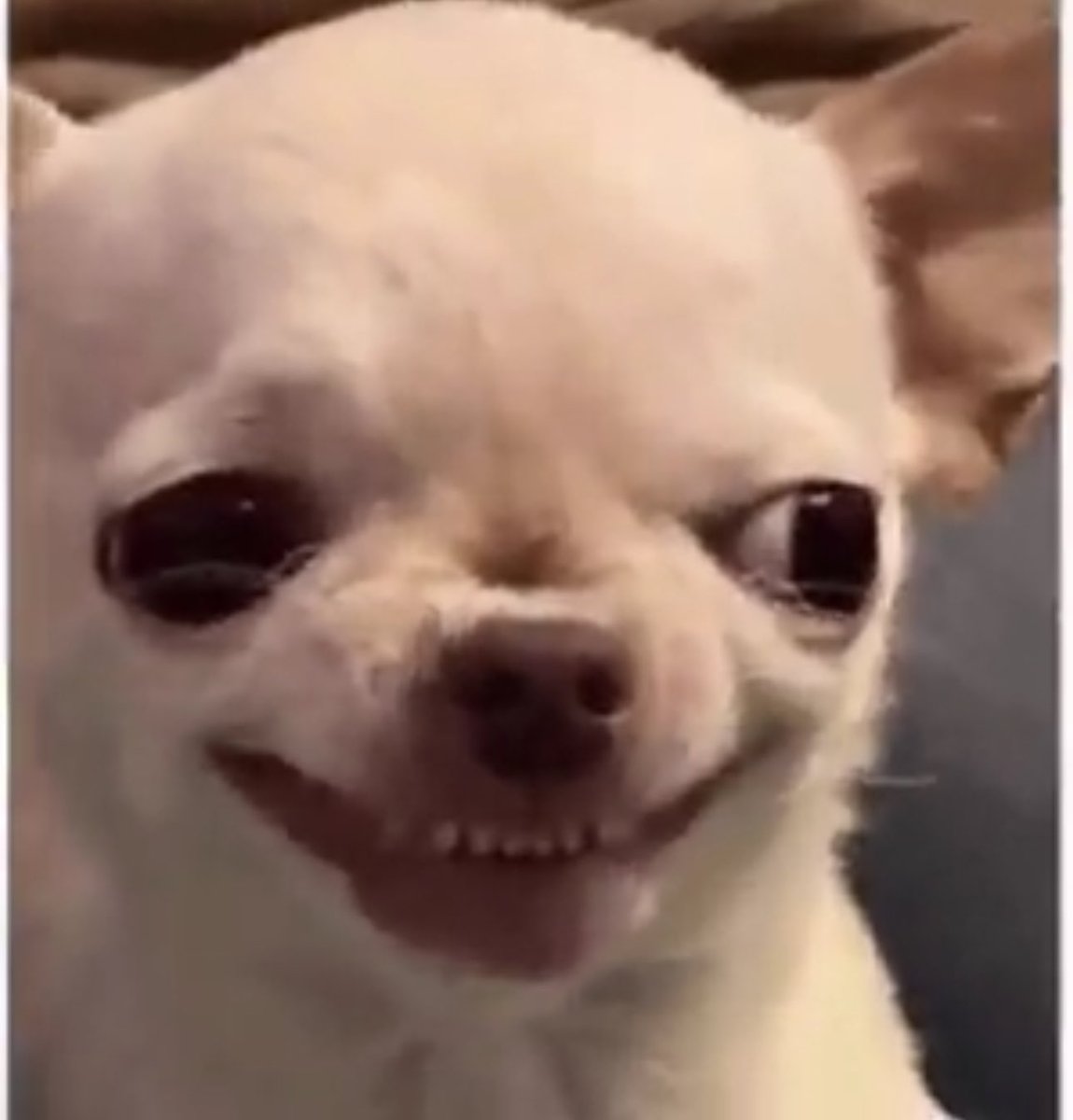 Jlenadea tweet media