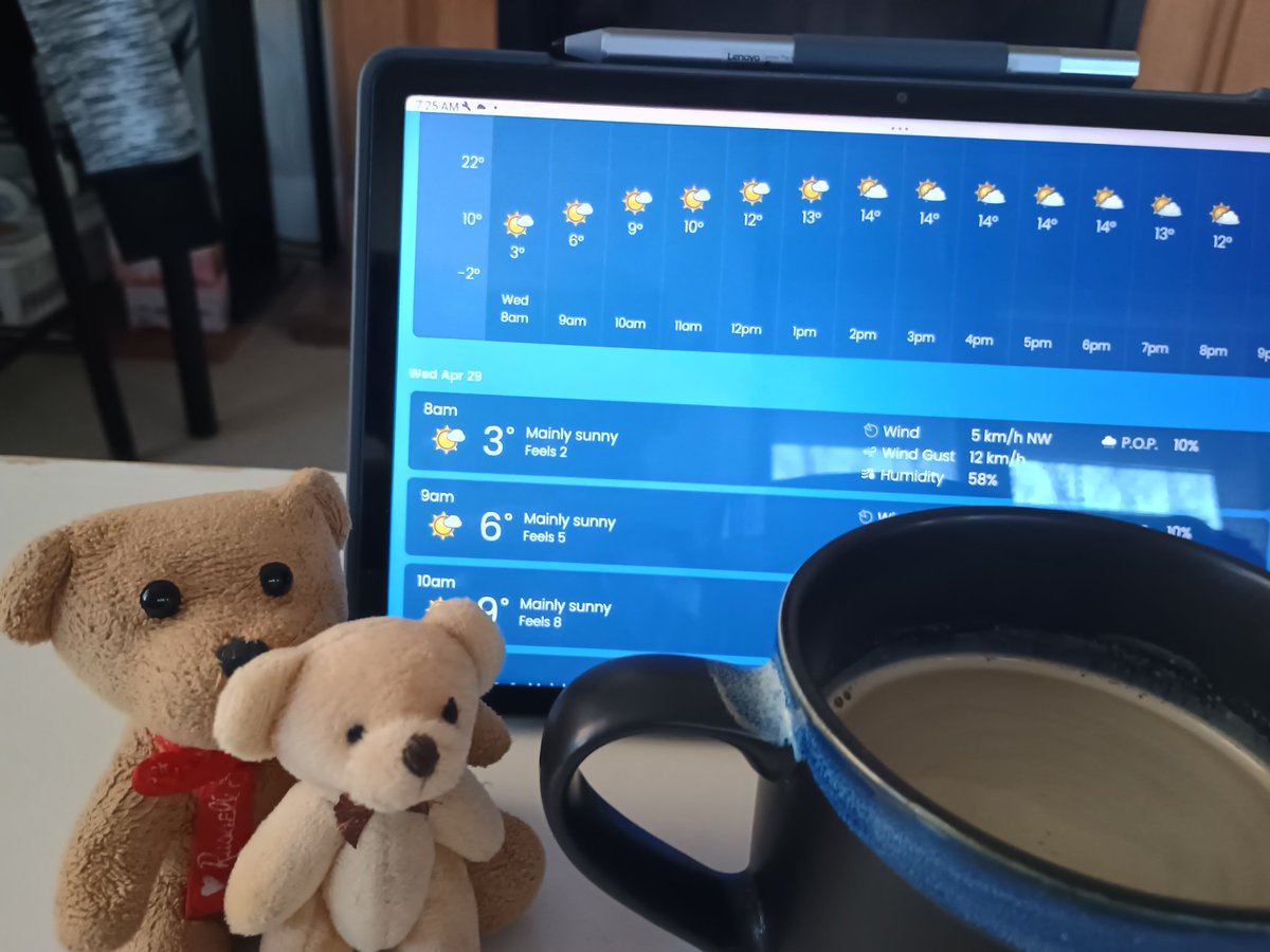 VerywellSeido's tweet image. Good morning 🐻🧸

A chilly 4℃ start, but it's warming up to over 10℃ later 🌡️

Tasty latte with sugar and milk ☕🇨🇦

I need to start prepare for moving but need to go to work too 😅

Take care and have a nice day my friend 😉😁🤭😊🤗🥱👍

#Latte