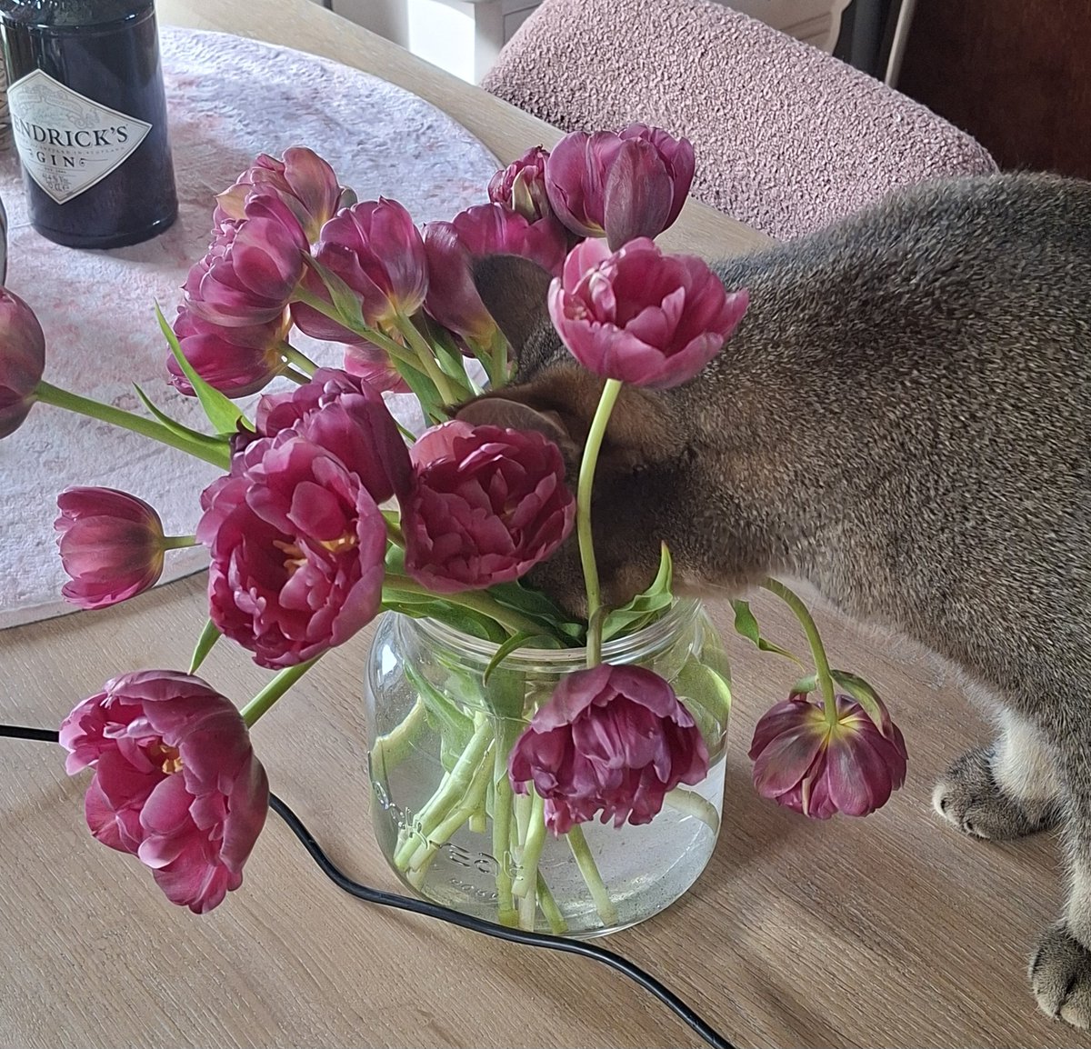 🌸Tante Pieps🌸 tweet media
