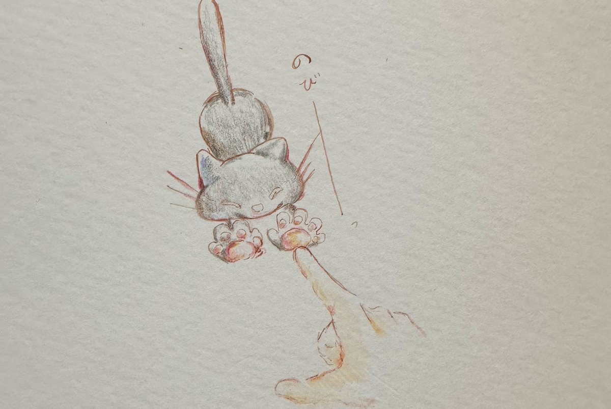 🌞ぽんず明太子 tweet media