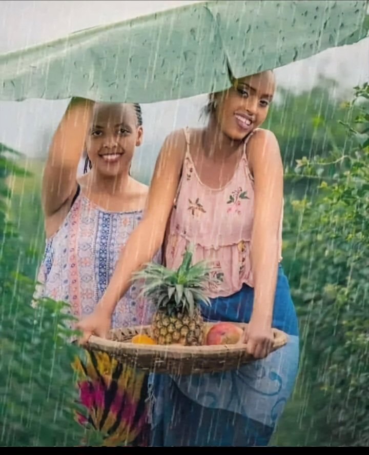 mutheogenes tweet media