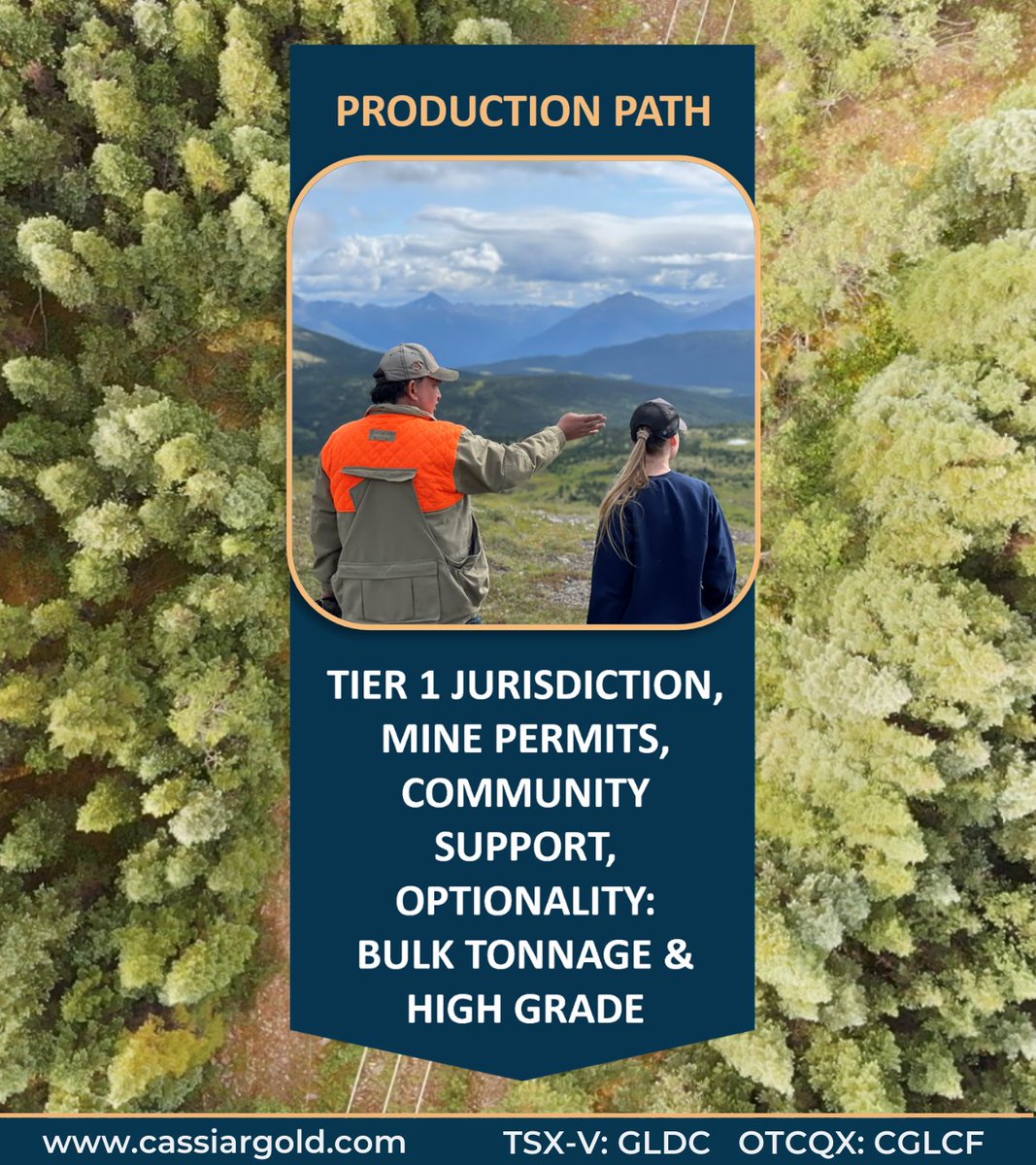Cassiar Gold Corp. tweet media