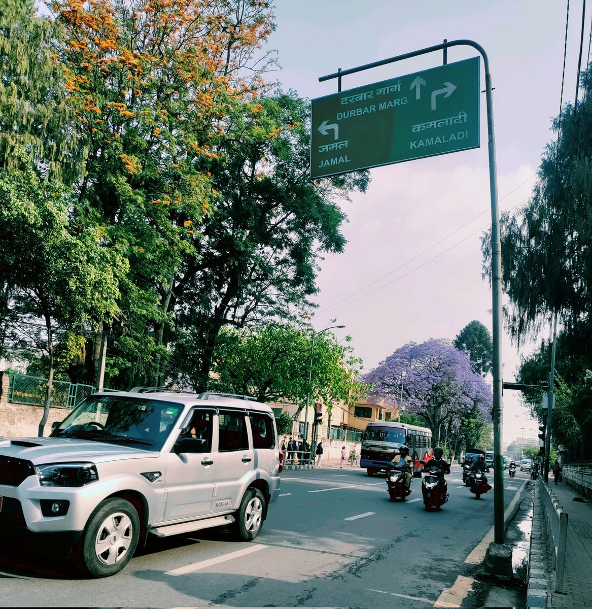 senbsal's tweet photo. Jacaranda Blossom In Kathmandu 
#kathmandu #jacaranda https://t.co/smUkUF4CvQ