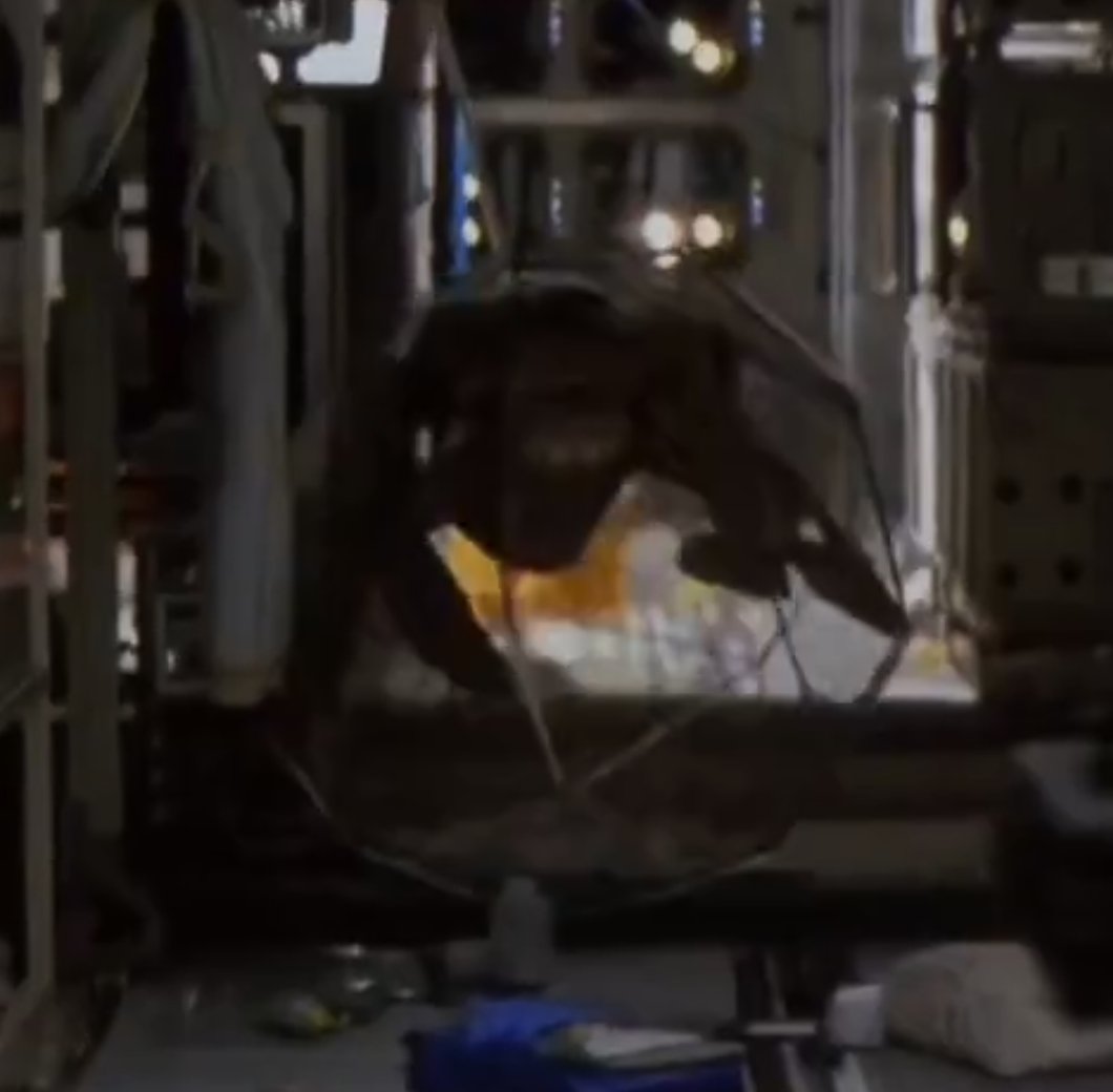 Soft Romanticism tweet media