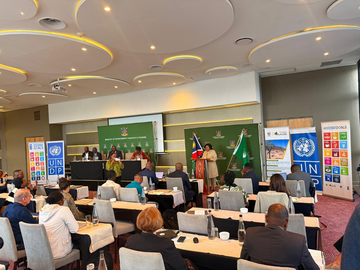 UNDP Namibia tweet media