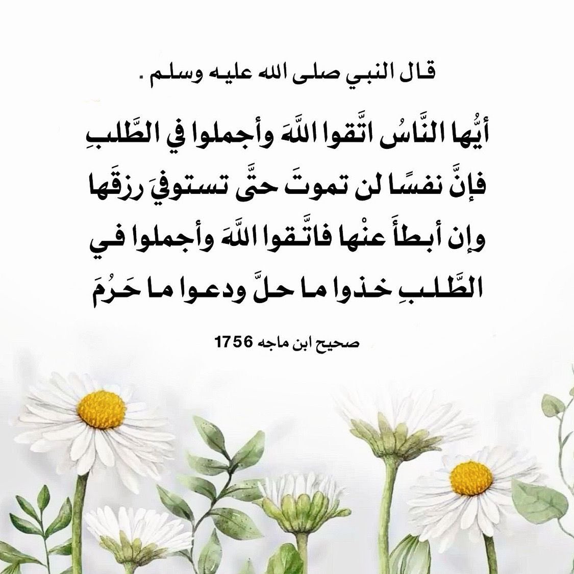 الإسلام دين الحق tweet media