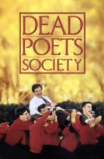 molly ☀️ tweet media