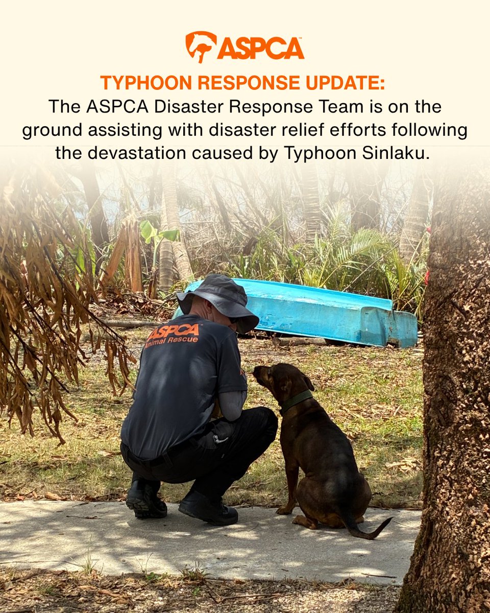 ASPCA tweet media