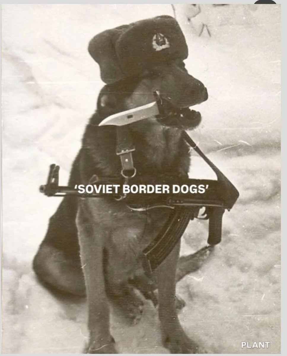 Vicente Lopez ☭ tweet media